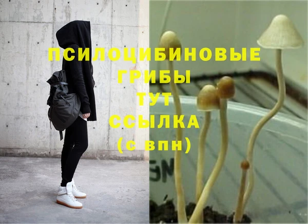 прущая мука Касимов