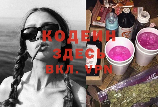 ГАЛЛЮЦИНОГЕННЫЕ ГРИБЫ Фёдоровский